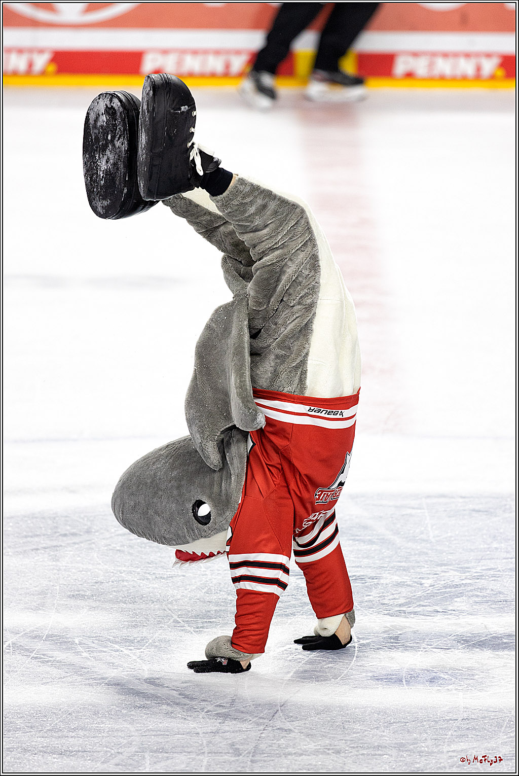 PENNY DEL;  Kölner Haie - Grizzly Wolfsburg; Köln, 26.10.2022